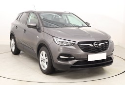 Opel Inny Opel , Salon Polska, Automat, VAT 23%, Klimatronic, Tempomat,