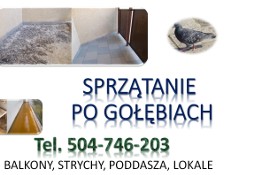 Dezynfekcja po gołębiach, tel.  Wrocław. Sprzątanie poddasza, strychu, tarasu