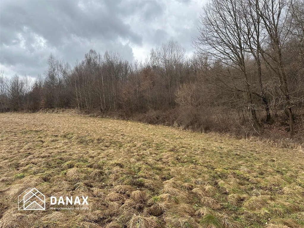 Działka leśna pod rekreacje, eventy - ok. Kalwarii - Ansicht 3