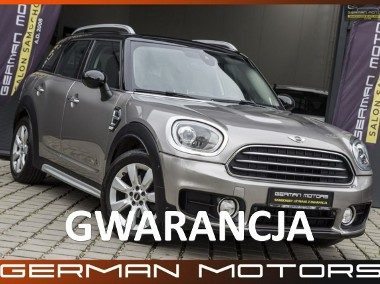 MINI Countryman LEDY / LIFT / 4x4 / Navi / El.klapa / Gwarancja na Rok !!!-1