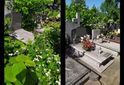 Całoroczne sprzątanie grobów/nagrobków Łódź i okolice