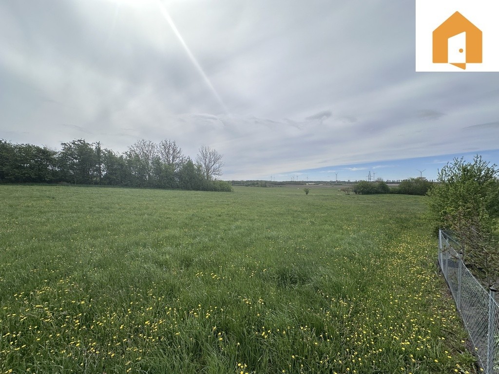 Działka 3000 m ok 6 km od morza - Widok 4