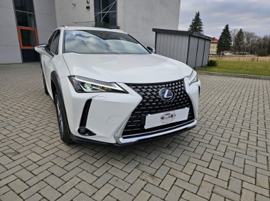 Lexus ux 300e -1