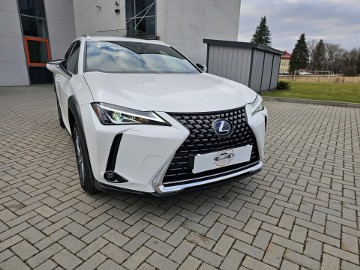 Lexus ux 300e 