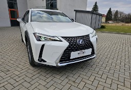 Lexus UX 300e