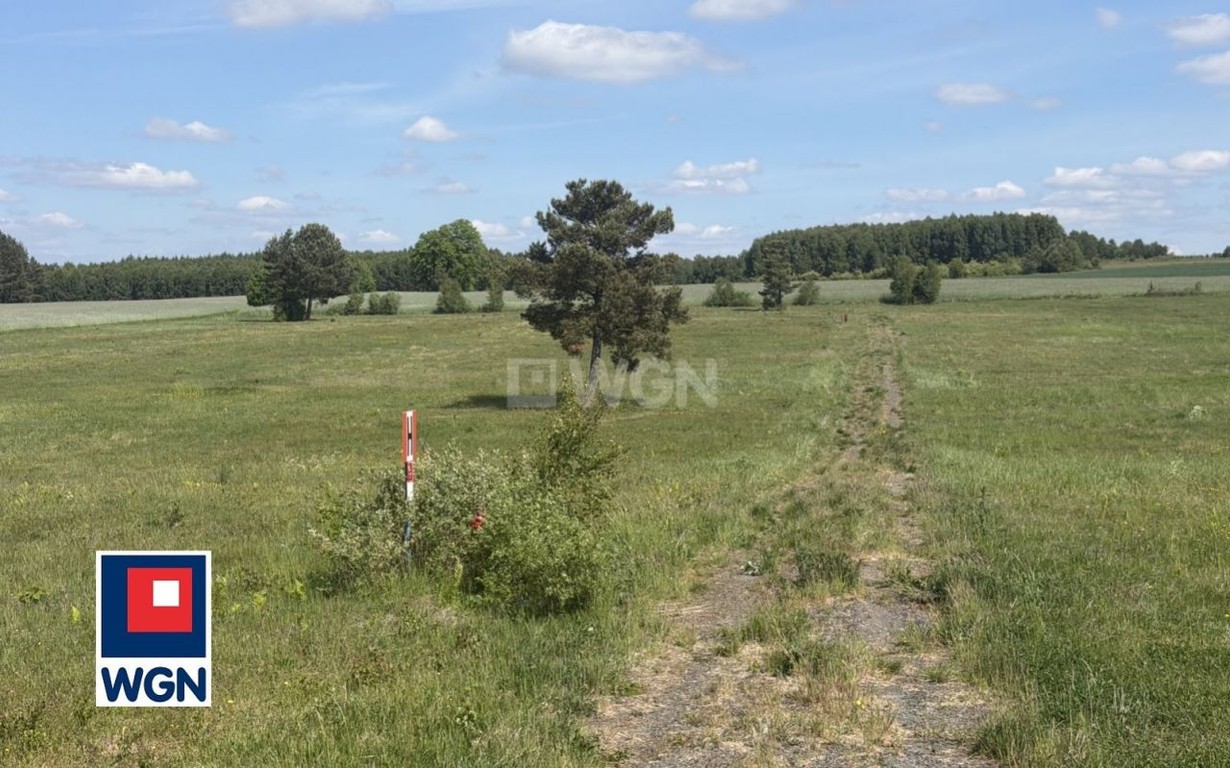 Działka na sprzedaż, 1129 m², Borzytuchom Jutrzenka - Więcej