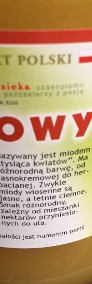 Miód wielokwiatowy wiosenny maj 2024 Kraków dla dzieci alergie astma witaminy-3