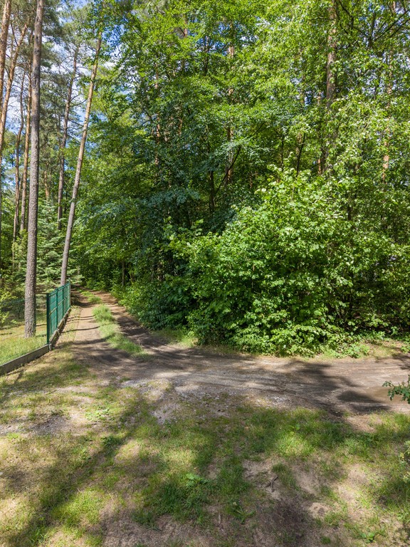 Działka pod zabudowę mieszkaniową blisko Tuszyna - Widok 2