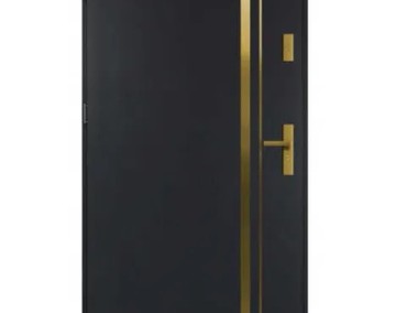 Drzwi zewnętrzne ze złotą klamką i aplikacją-1