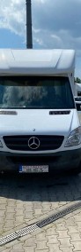 Mercedes-Benz Sprinter 316 CDi / Kontener niskopodłogowy /do kwiatów/gastronomii /Pod Kampe-3