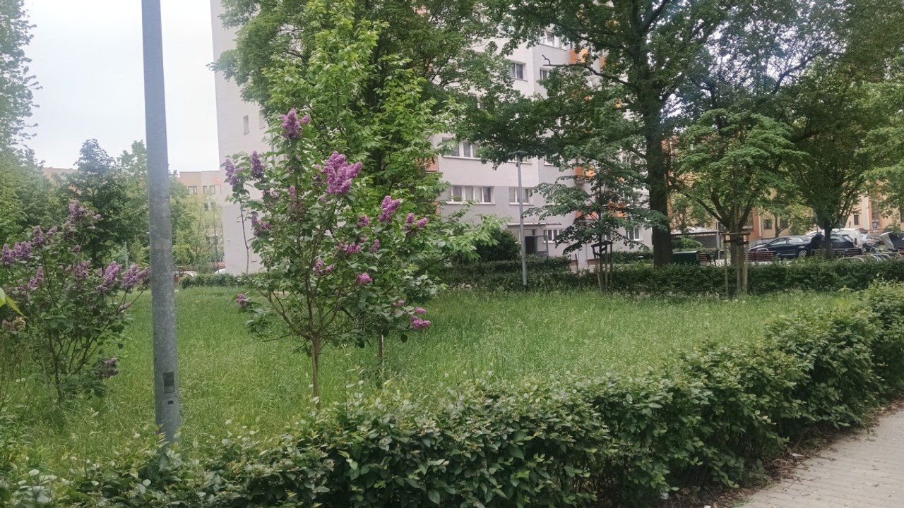 DO NEGOCJACJI, METRO MŁOCINY, LAS BIELAŃSKI – pohled 3