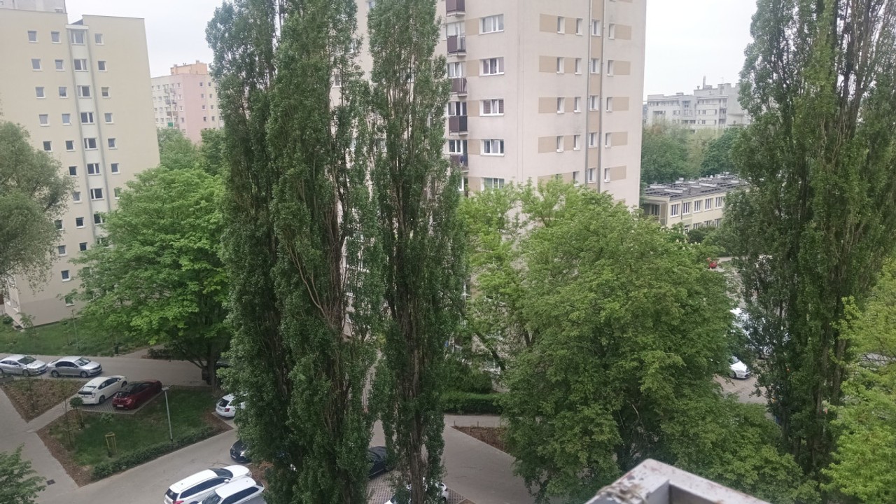 DO NEGOCJACJI, METRO MŁOCINY, LAS BIELAŃSKI – pohled 5