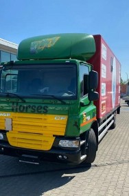 DAF CF 65.220 do przewozu koni lub bydla, rampa, winda, euro5-2