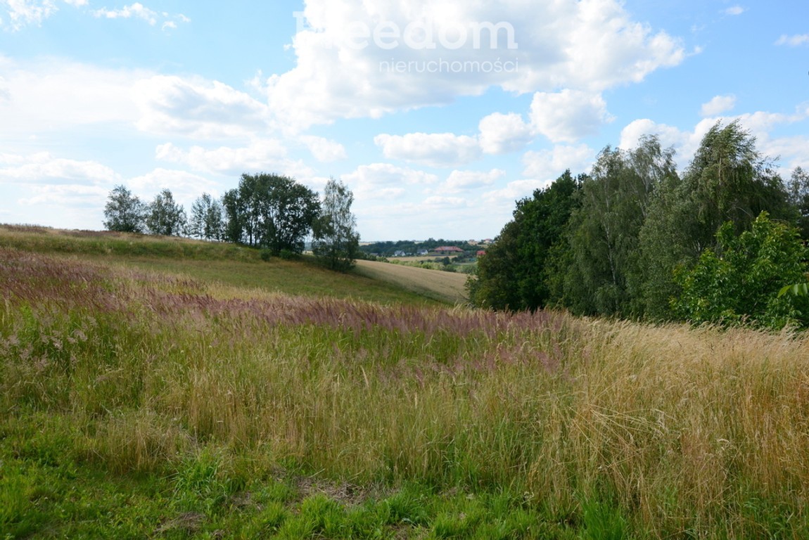 Widokowa działka siedliskowa we Frydrychowicach - Widok 5