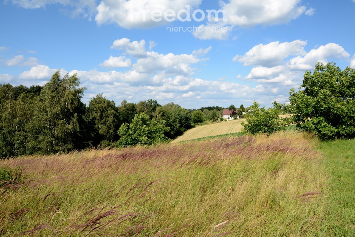Widokowa działka siedliskowa we Frydrychowicach - Widok 6