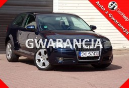 Audi A3 II (8P) Klimatronic /Gwarancja /1,9 TDI/105KM /2007R /Lift