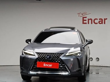 250h 2.0 2WD 2019 Bezwypadkowy-1