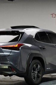 250h 2.0 2WD 2019 Bezwypadkowy-2