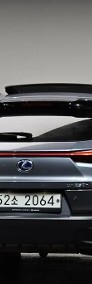 250h 2.0 2WD 2019 Bezwypadkowy-3