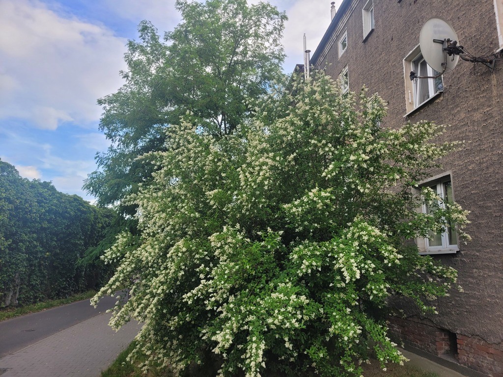 Południe Wrocławia, 2 pok. super dojazd do centrum - Więcej