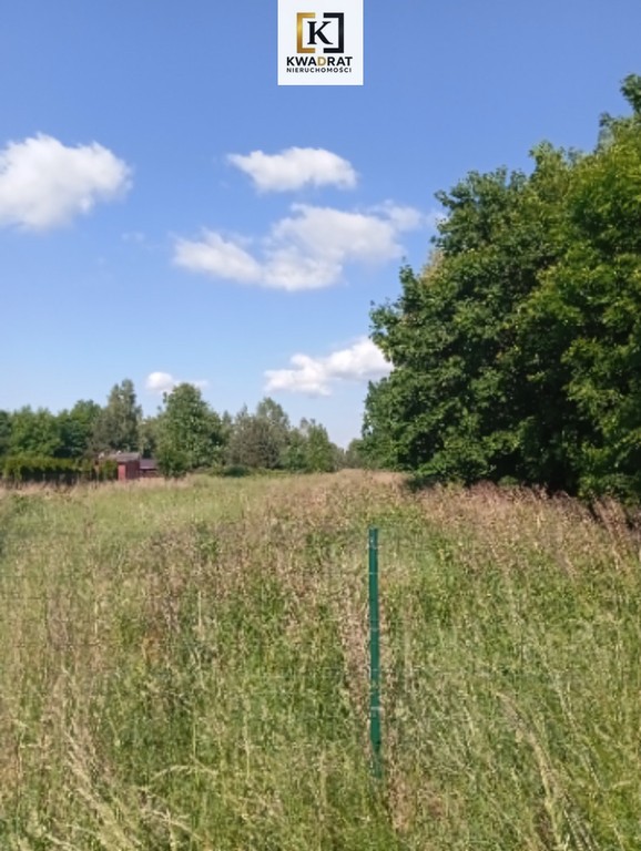 Duża działka siedliskowa w malowniczej okolicy - Widok 2