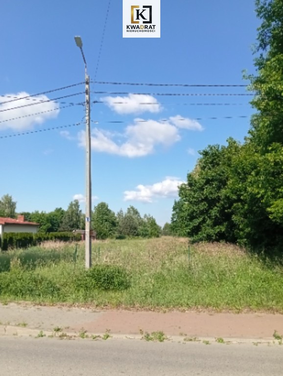 Duża działka siedliskowa w malowniczej okolicy - Widok 3