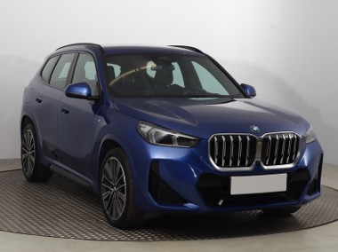 BMW X1 F48 , Salon Polska, Serwis ASO, Automat, VAT 23%, Skóra, Navi,-1