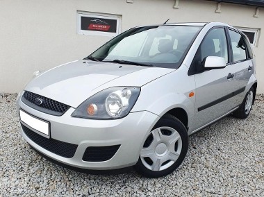 Ford Fiesta VI-1