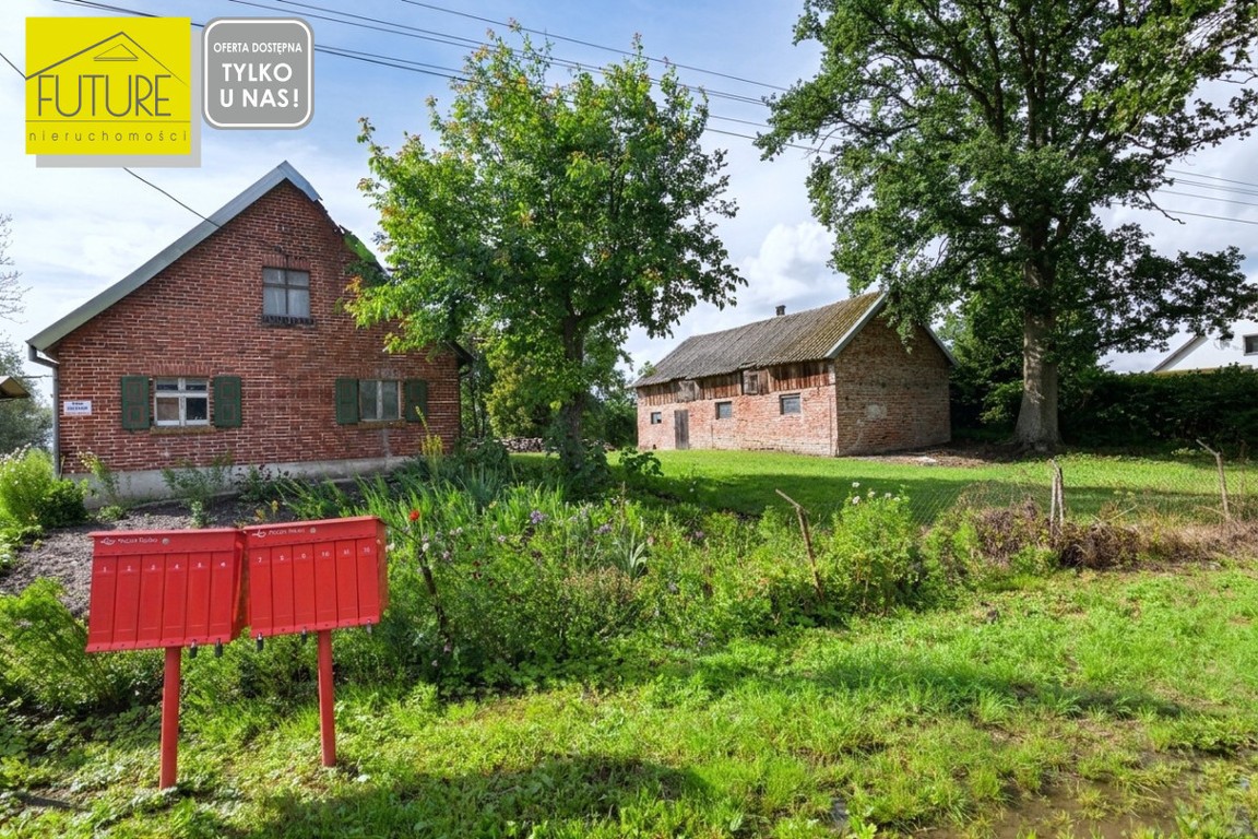 Siedlisko na żuławach w miejscowości Solnica