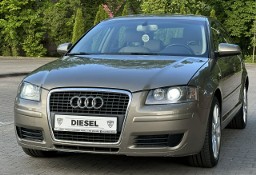 Audi A3 II (8P) Bezwypadkowy 2005r 2.0 TDI BKD 140KM Automat DSG Klimatronic Xenon