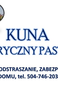 Elektryczny pastuch na kuny, cena tel.  montaż, zabezpieczenie domu-2