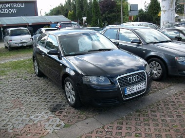 Audi A3 II (8P) 1968cm<sup>3</sup>/136 KM-1