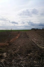 Działka rolna Goślinowo-2