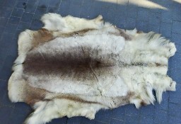 Naturalna skóra z renifera 160x90 cm