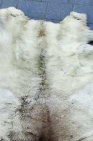 Naturalna skóra z renifera 160x90 cm-2