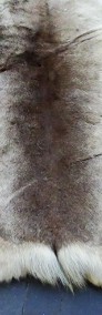 Naturalna skóra z renifera 160x90 cm-4