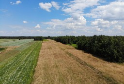 Działka siedliskowa z warunkami zabudowy