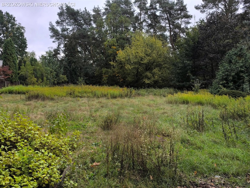 Wawer, dom 230 m², działka 1198 m² - Widok 4