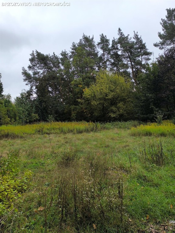 Wawer, dom 230 m², działka 1198 m² - Widok 5