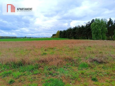 MORZEWIEC 1022m CISZA SPOKÓJ ŚCIANA LASU-1