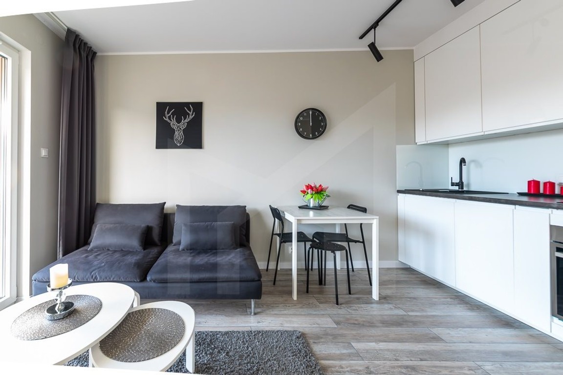 CENTRUM, PRZY STARYM BROWARZE, ATANER - Widok 2