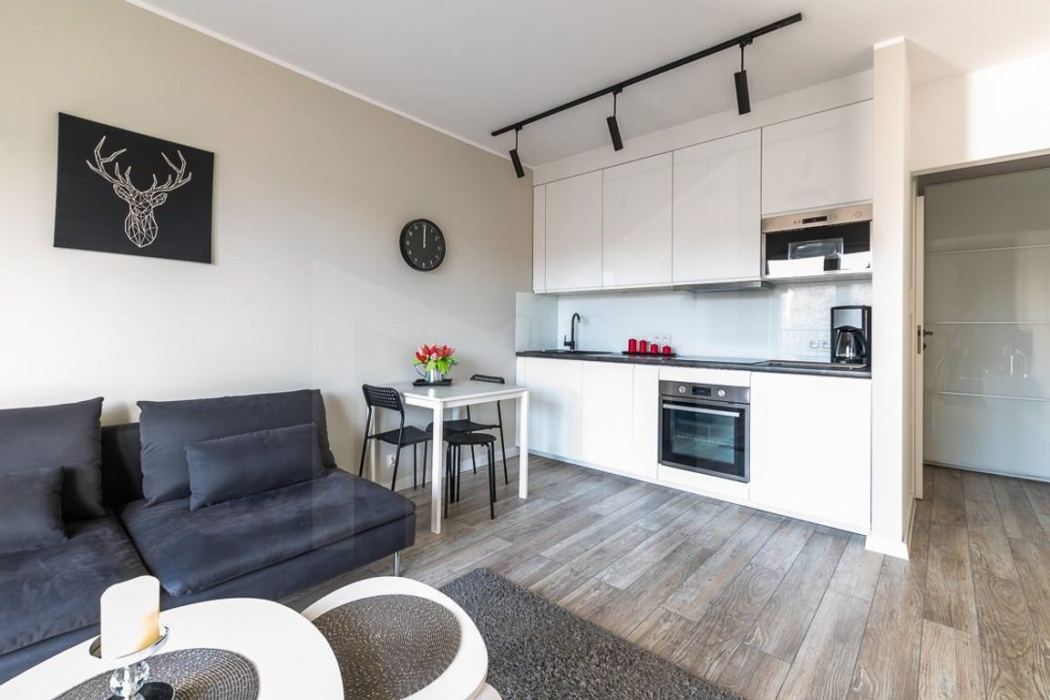 CENTRUM, PRZY STARYM BROWARZE, ATANER - Widok 4