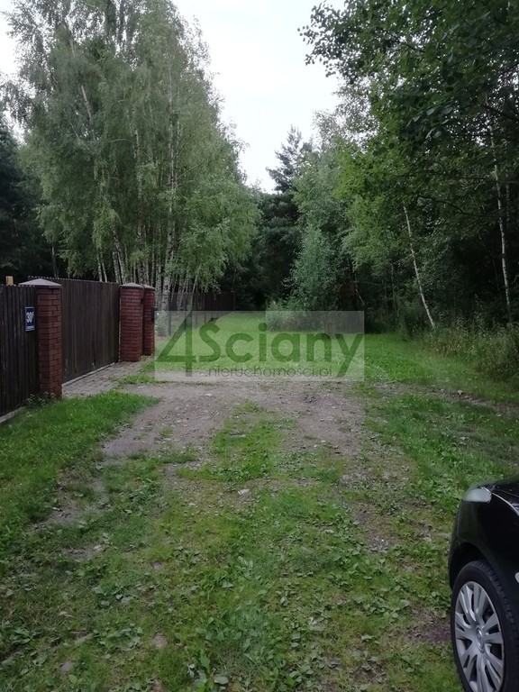 DZIAŁKA PRZY PUSZCZY BOLIMOWSKIEJ - Widok 2