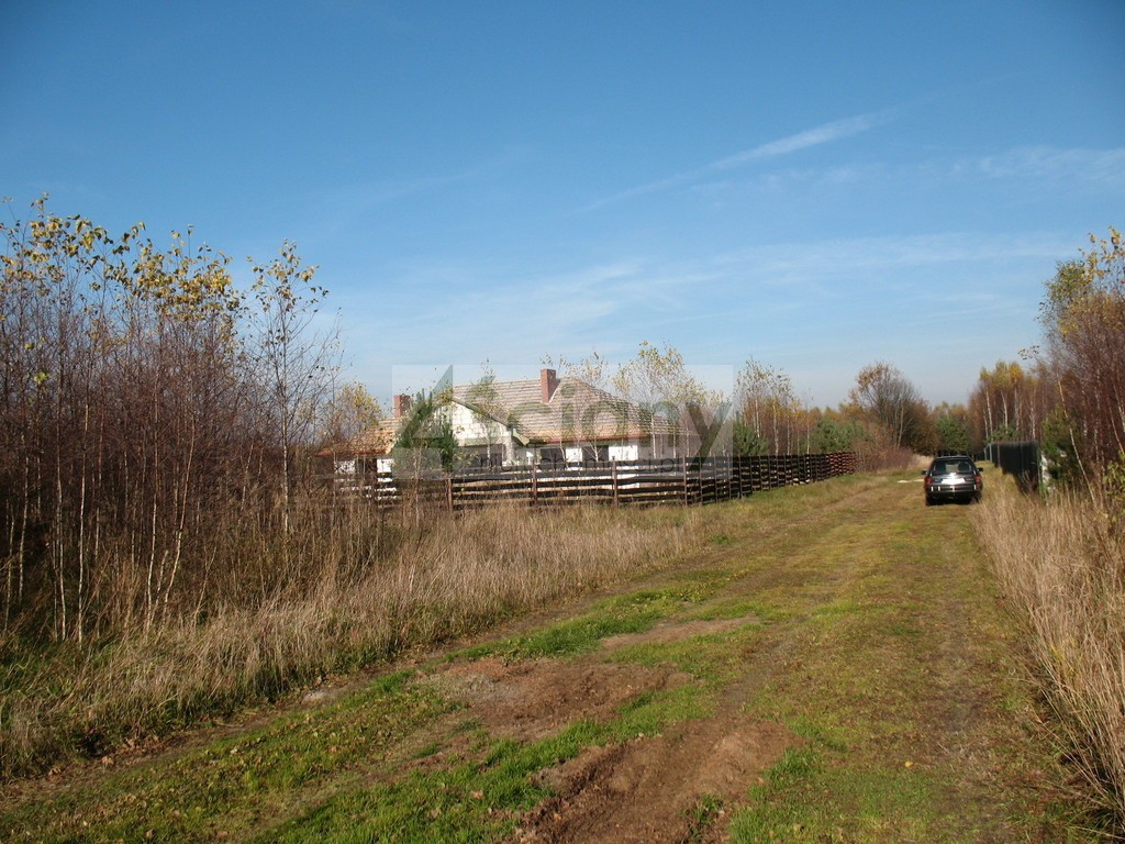 DZIAŁKA PRZY PUSZCZY BOLIMOWSKIEJ - Widok 5