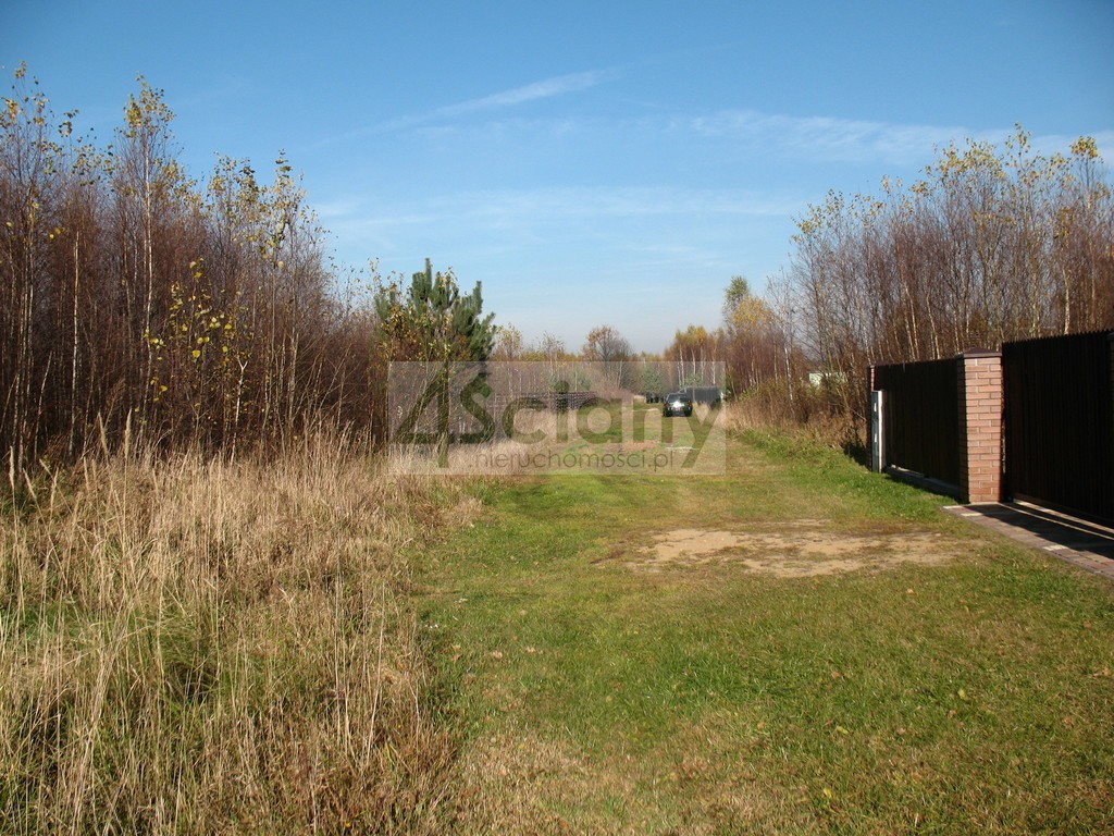DZIAŁKA PRZY PUSZCZY BOLIMOWSKIEJ - Widok 6