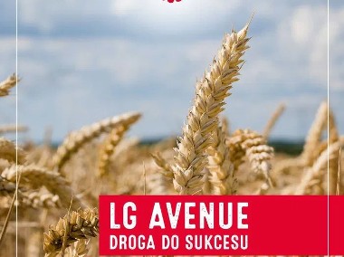 Pszenica Ozima LG AVENUE Bardzo Wczesna Odmiana Nasiona Pszenicy LG-1