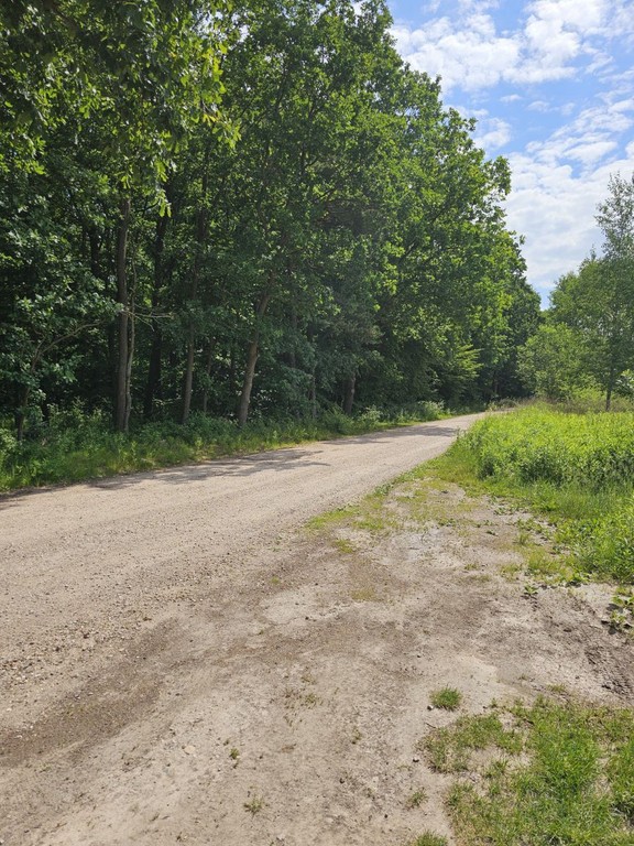 Działka na sprzedaż, 1700 m², Konstancin-Jeziorna Kierszek Kierszek pod Lasem – pohled 2