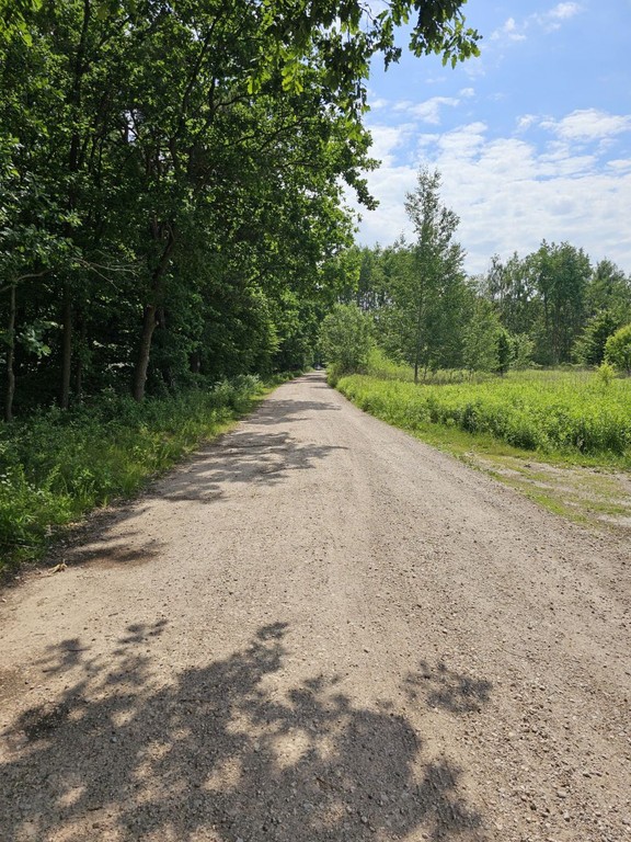 Działka na sprzedaż, 1700 m², Konstancin-Jeziorna Kierszek Kierszek pod Lasem – pohled 3