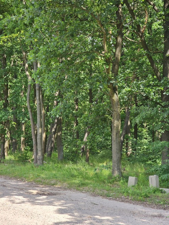 Działka na sprzedaż, 1700 m², Konstancin-Jeziorna Kierszek Kierszek pod Lasem – pohled 4