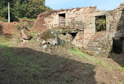 Dom Viana Do Castelo